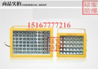 100W防爆LED燈 (6)