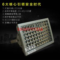 100wLED防爆投光燈 (2)