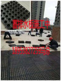 凹凸型塑料排蓄水板