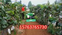 3e6af2e98d6e495097dea76bc71474f_副本