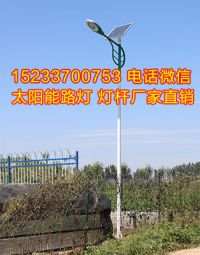 石家莊農(nóng)村太陽能路燈廠家,無極米市電路燈多少錢