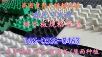 排水板5318_副本