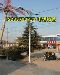 唐山太阳能路灯价格,唐山路灯杆5米6米生产厂家