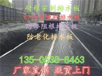 排水板76CO_副本