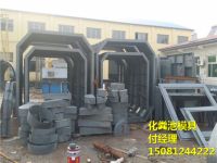 化糞池模具20