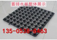 淘寶蓄排水板產品細節02