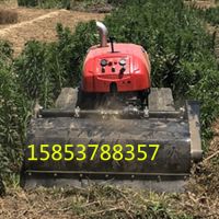 遙控果園微耕機(jī)履帶式旋耕機(jī)打藥機(jī) 多功能開溝機(jī) (25)