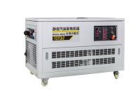 12kw汽油發(fā)電機(jī) (4)