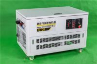 12kw汽油發(fā)電機(jī) (5)