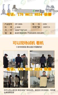 豆腐皮機300斤 (3)