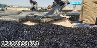 瀝青砂墊層