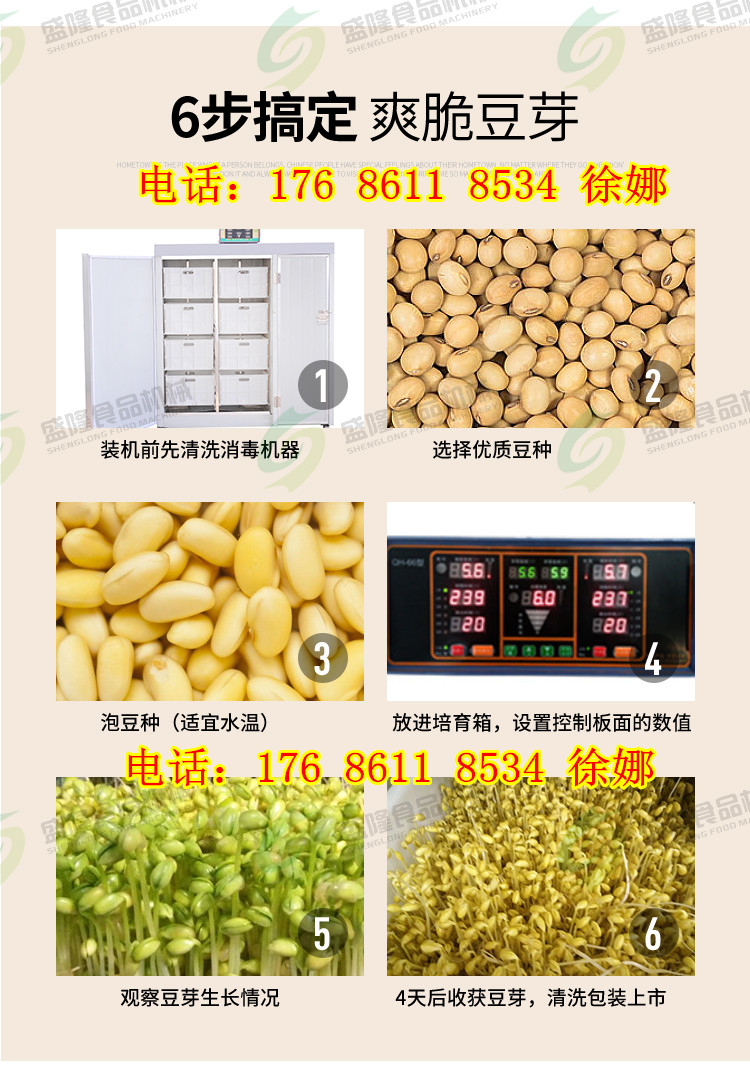 豆芽机100斤 (3)