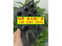 嘉興【2公分車庫(kù)排水板】抗根穿刺濾水板-質(zhì)量放心