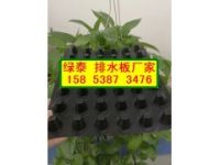 常州車庫底板疏水板√屋頂綠化隔根板15853873476