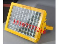 80W球場LED防爆燈   DBG98護欄式燈