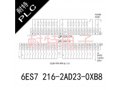 耐特PLC，6ES7 216-2AD23-0xB8,分散控制