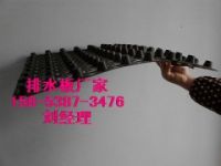 寧德2米寬3米寬車庫卷材排水板廠家15853873476