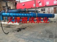 250QJ-63KW卧式深井泵价格-天津潜成泵业（优质商家）