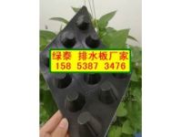 新余屋頂綠化疏水板☆25厚蓄排水板15853873476