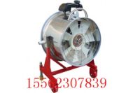 批發(fā)正壓汽油渦輪排煙機(jī)GF164SE