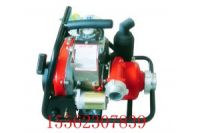 出售WICK250加拿大森林消防泵