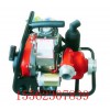 出售WICK250加拿大森林消防泵