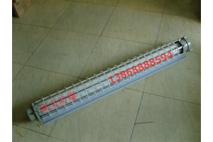 支架式2x40w防爆荧光灯 1.2米灯管防爆节能荧光灯