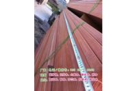 近山樟木多少錢一立方，山樟木防腐木市場價格、山樟木價格