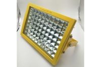 ZL8921鎂粉拋光車間80WLED防爆燈AC220V