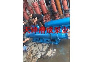 天津潜成泵业深井泵样式，规格齐全的厂家
