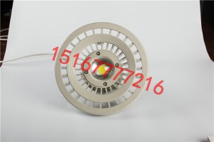 40W灰色化工厂LED防爆灯 RFD140-40W防爆平台灯