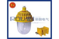 KHD94支架式照明平臺燈100W  工業照明LED防爆燈