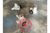 智能閥門電動(dòng)頭F-DQW60-DSI報(bào)價(jià)選型