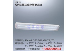 BLY72系列LED防爆防腐全塑荧光灯