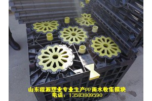 供应郑州PP雨水收集模块 洛阳雨水收集系统模块