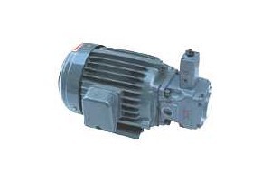 SMVP-30-4-3-380/50油泵HP电机组