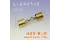 AGU汽車音響保險絲管 10*38mm玻璃保險絲管/鍍仿金
