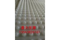 武漢￥H25mmPVC耐根刺瀝水板//全國供應(yīng)//