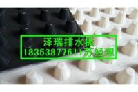 寧夏2公分車庫排水板/綠化隔根板廠家18353877611