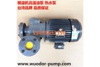 高溫循環(huán)泵 YS-35F泵 熱油泵 模溫機(jī)馬達(dá)