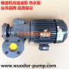 高温循环泵 YS-35F泵 热油泵 模温机马达