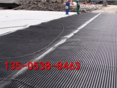 马鞍山25mm厚塑料板排水层《镂空式蓄排水板》