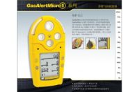 加拿大BW全多氣體檢測儀M5