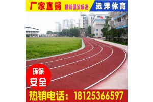 广东全塑型塑胶跑道造价|标准400米塑胶跑道|塑胶跑道供应商