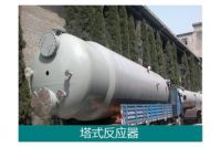 氣液反應(yīng)--塔式反應(yīng)器