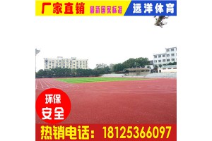 四川广元复合型塑胶跑道造价|塑胶跑道厂家|远洋体育