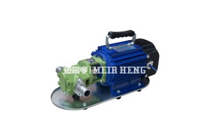 WCB手提式齿轮泵 电动抽油泵 220V润滑油泵 微型输油泵