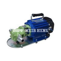 WCB手提式齿轮泵 电动抽油泵 220V润滑油泵 微型输油泵