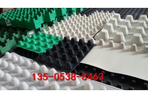 北京6公分凹凸型塑料排水板-型号