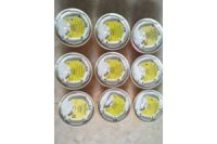 TYCOMD601EX HEAT DETECTOR溫感探測(cè)器